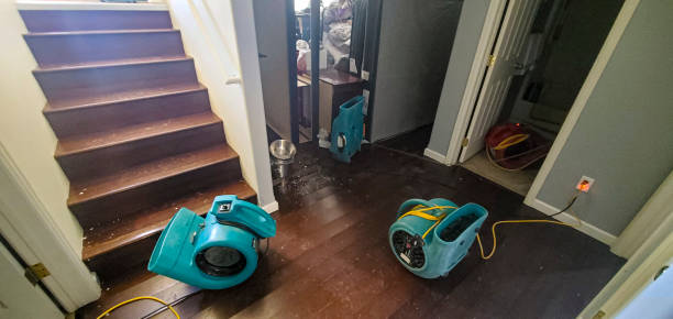 Best Flood damage cleanup  in Scotia, NY