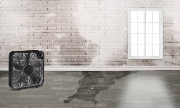 Best Emergency water damage restoration  in Scotia, NY