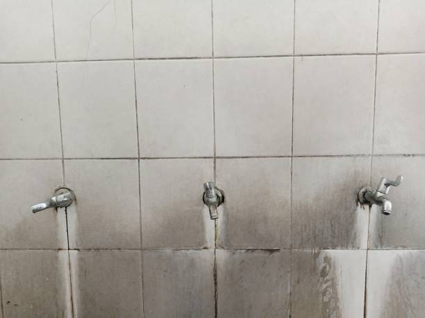 Best Water damage restoration specialists  in Scotia, NY