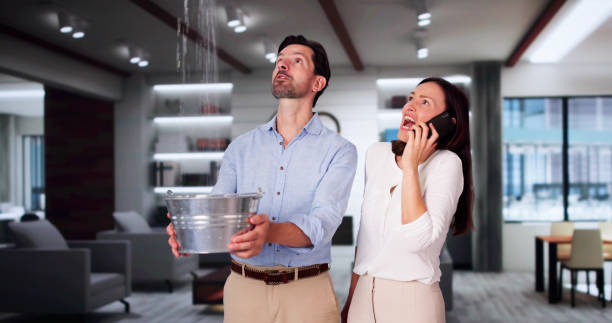 Best Professional water damage repair  in Scotia, NY